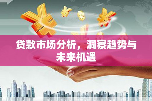 沙雅贷款市场分析，洞察趋势与未来机遇