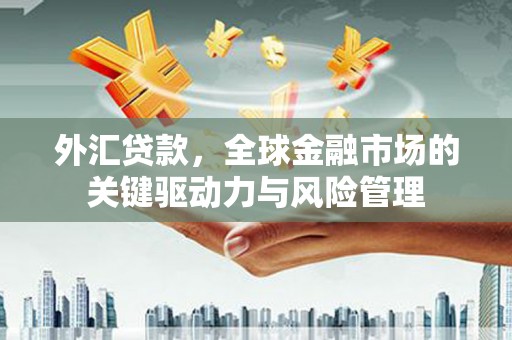 沙雅外汇贷款，全球金融市场的关键驱动力与风险管理