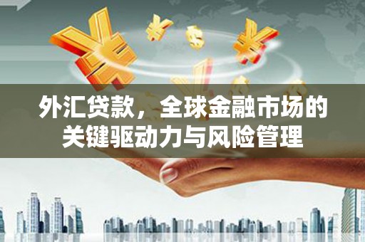 沙雅外汇贷款，全球金融市场的关键驱动力与风险管理