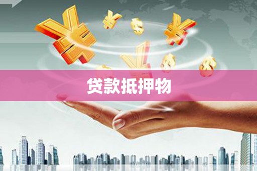 沙雅贷款抵押物