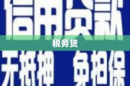 沙雅税务贷