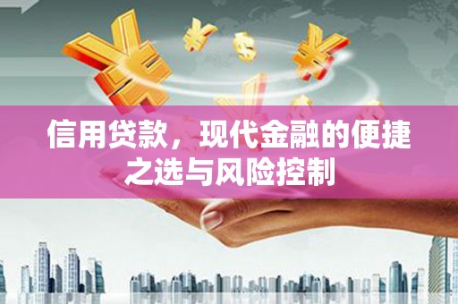 沙雅信用贷款，现代金融的便捷之选与风险控制