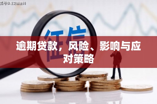 沙雅逾期贷款，风险、影响与应对策略