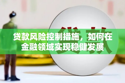 沙雅贷款风险控制措施，如何在金融领域实现稳健发展