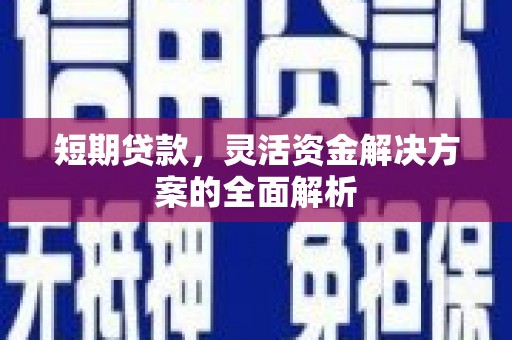 沙雅短期贷款，灵活资金解决方案的全面解析
