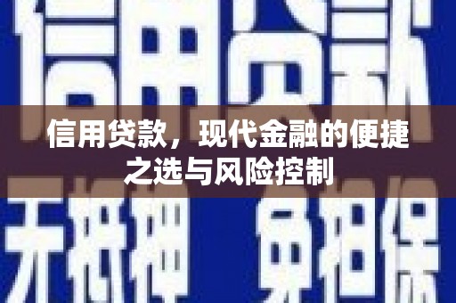 沙雅信用贷款，现代金融的便捷之选与风险控制