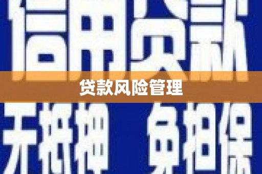 沙雅贷款风险管理