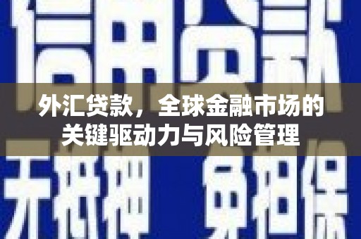 沙雅外汇贷款，全球金融市场的关键驱动力与风险管理