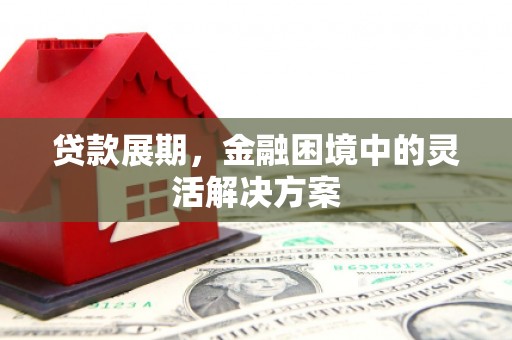 沙雅贷款展期，金融困境中的灵活解决方案