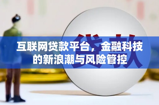 沙雅互联网贷款平台，金融科技的新浪潮与风险管控