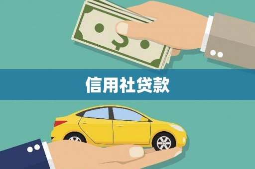 沙雅信用社贷款