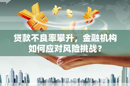 沙雅贷款不良率攀升，金融机构如何应对风险挑战？