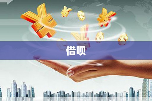 沙雅借呗