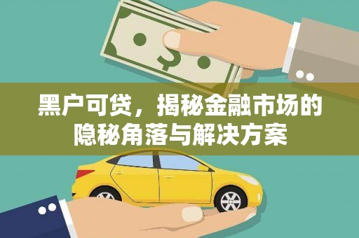 沙雅黑户可贷，揭秘金融市场的隐秘角落与解决方案