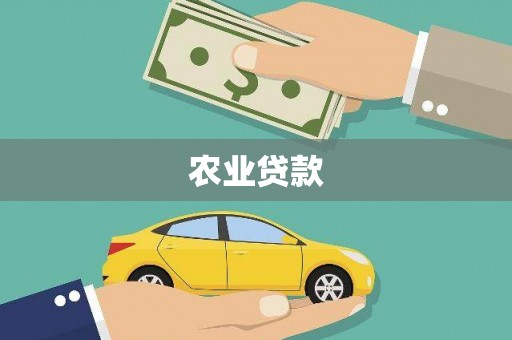 沙雅农业贷款