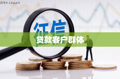 沙雅贷款客户群体