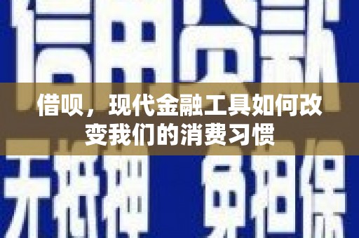 沙雅借呗，现代金融工具如何改变我们的消费习惯
