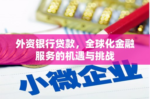 沙雅外资银行贷款，全球化金融服务的机遇与挑战