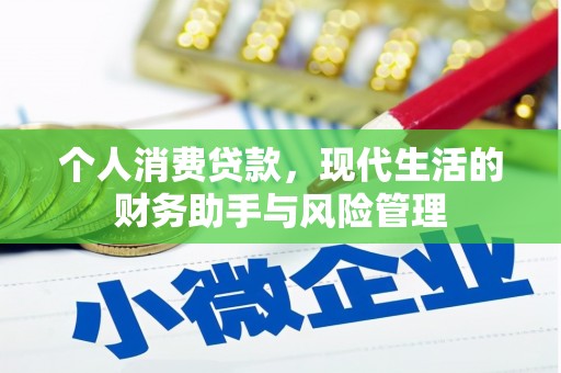沙雅个人消费贷款，现代生活的财务助手与风险管理
