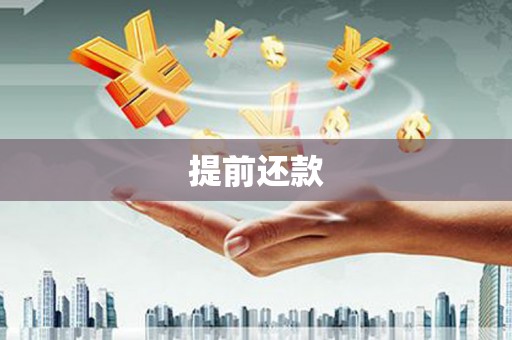 沙雅提前还款