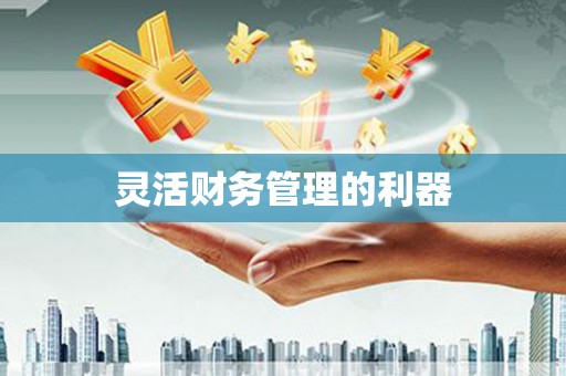 沙雅灵活财务管理的利器