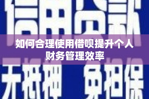 沙雅如何合理使用借呗提升个人财务管理效率