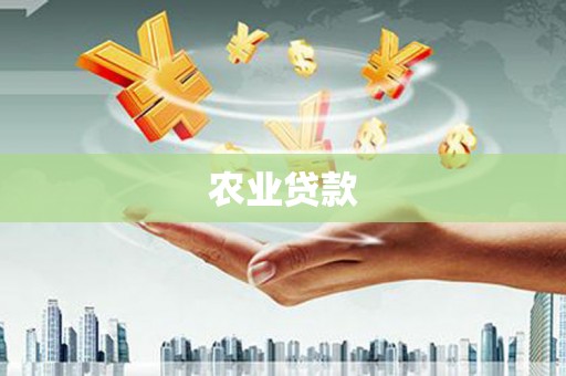 沙雅农业贷款