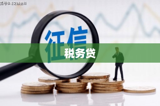 沙雅税务贷