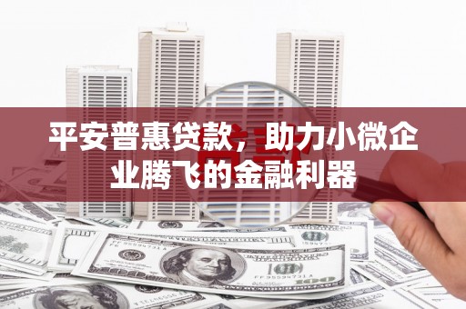 沙雅平安普惠贷款，助力小微企业腾飞的金融利器