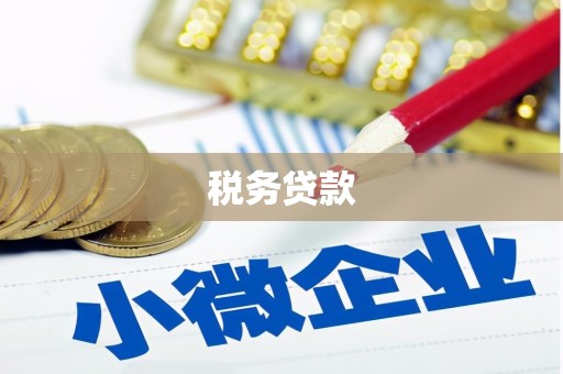 沙雅税务贷款