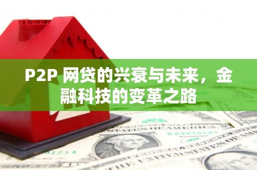 沙雅P2P 网贷的兴衰与未来，金融科技的变革之路