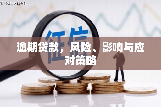 沙雅逾期贷款，风险、影响与应对策略