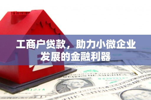 沙雅工商户贷款，助力小微企业发展的金融利器