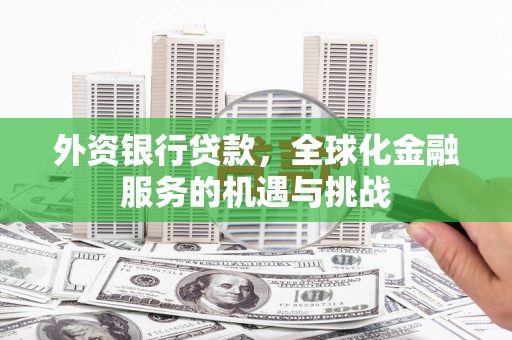 沙雅外资银行贷款，全球化金融服务的机遇与挑战