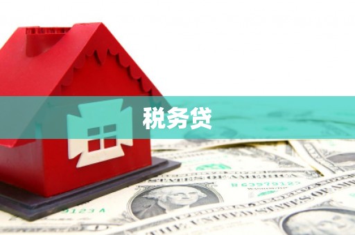 沙雅税务贷
