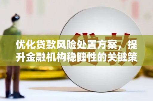 沙雅优化贷款风险处置方案，提升金融机构稳健性的关键策略