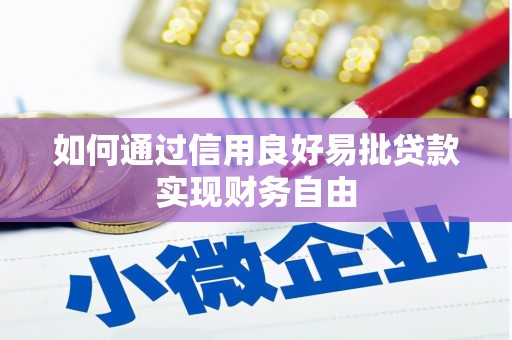 沙雅如何通过信用良好易批贷款实现财务自由