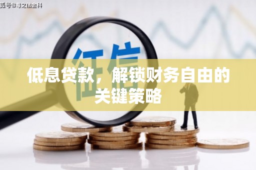 沙雅低息贷款，解锁财务自由的关键策略
