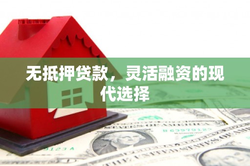 沙雅无抵押贷款，灵活融资的现代选择