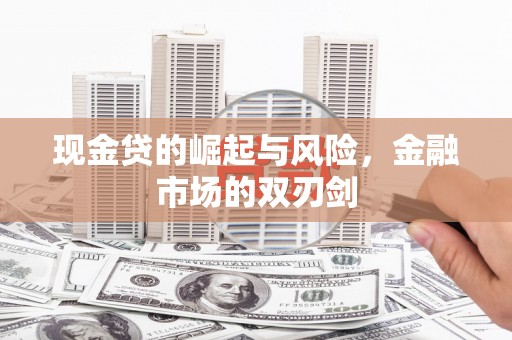 沙雅现金贷的崛起与风险，金融市场的双刃剑