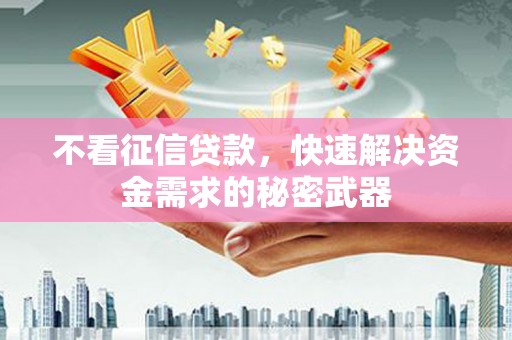 沙雅不看征信贷款，快速解决资金需求的秘密武器