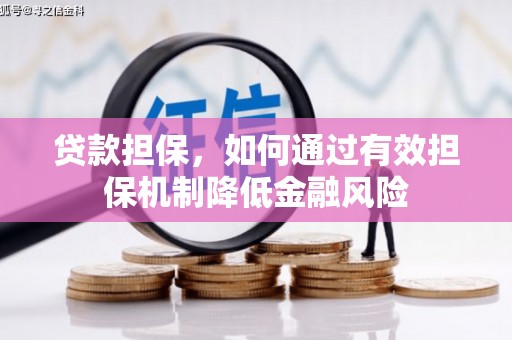 沙雅贷款担保，如何通过有效担保机制降低金融风险