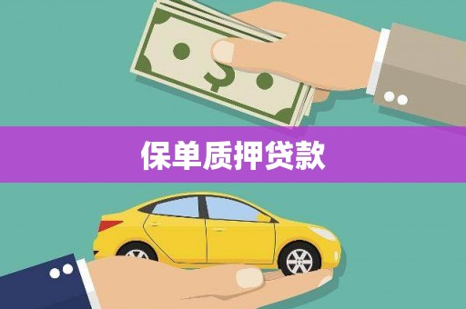 沙雅保单质押贷款