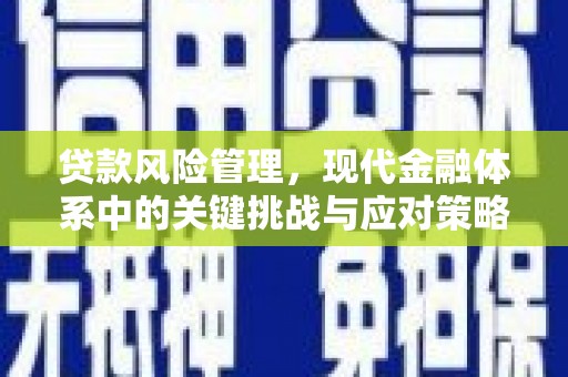沙雅贷款风险管理，现代金融体系中的关键挑战与应对策略