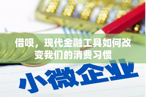 沙雅借呗，现代金融工具如何改变我们的消费习惯