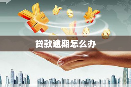 沙雅贷款逾期怎么办