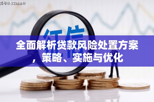 沙雅全面解析贷款风险处置方案，策略、实施与优化