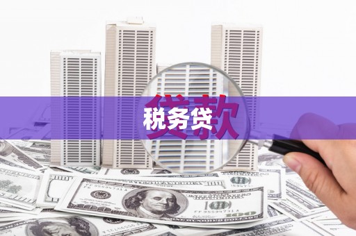 沙雅税务贷