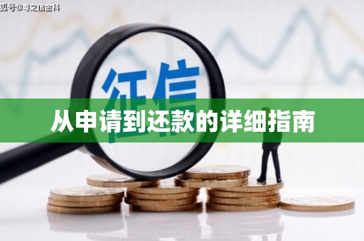 沙雅从申请到还款的详细指南