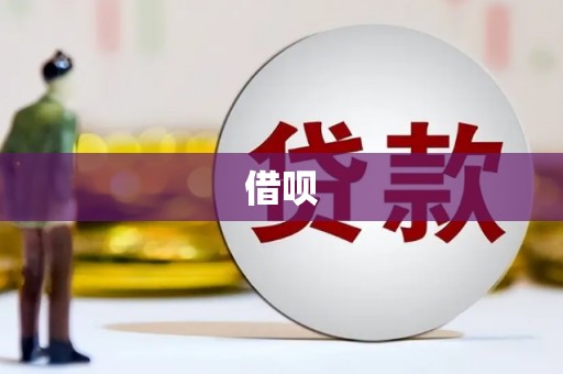 沙雅借呗